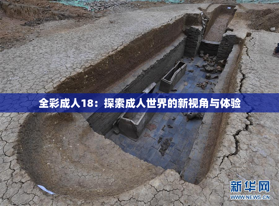 全彩成人18：探索成人世界的新视角与体验