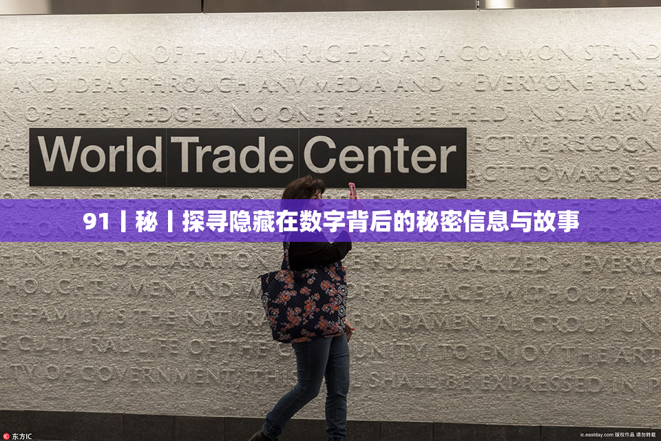 91丨秘丨探寻隐藏在数字背后的秘密信息与故事