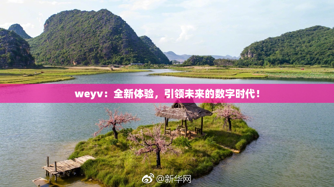 weyv：全新体验，引领未来的数字时代！
