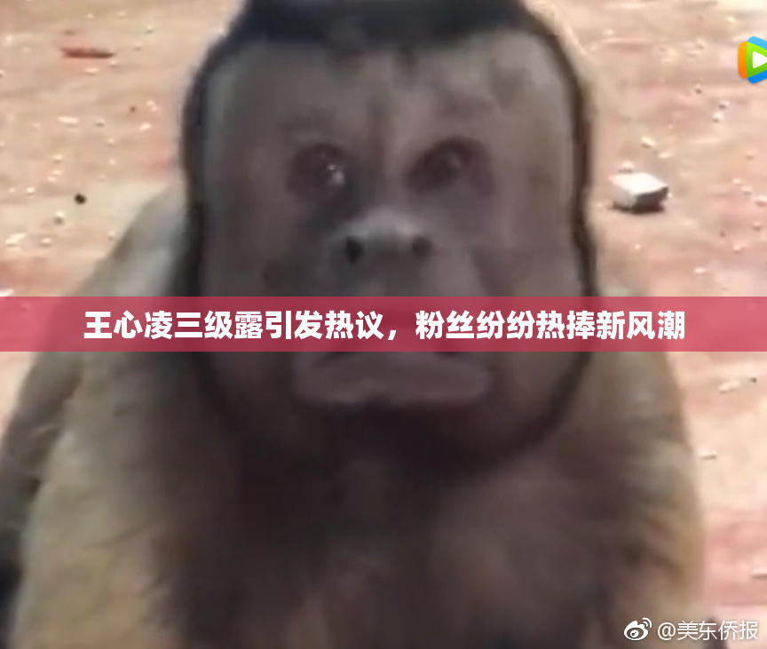 王心凌三级露引发热议，粉丝纷纷热捧新风潮