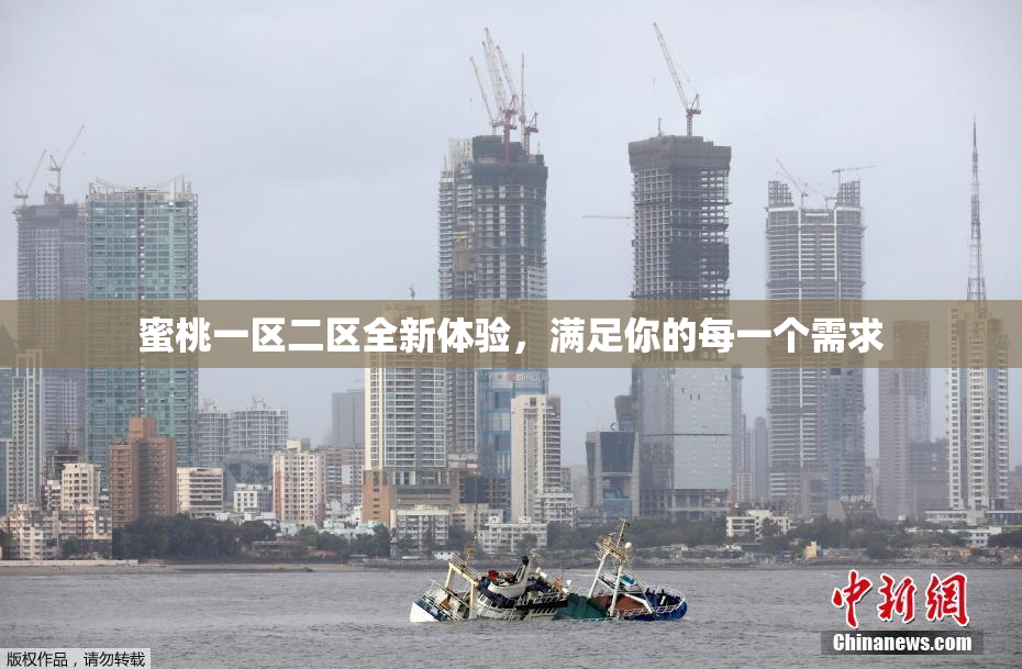 蜜桃一区二区全新体验，满足你的每一个需求