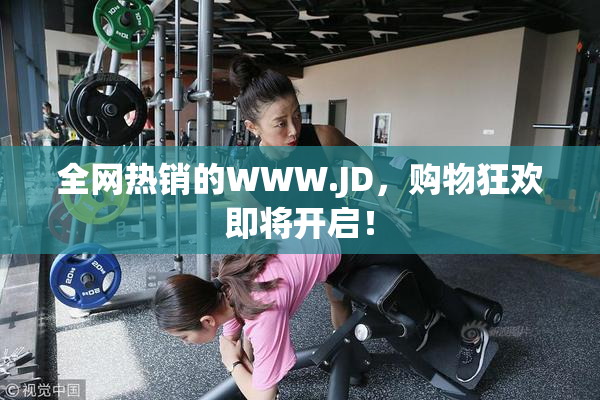 全网热销的WWW.JD，购物狂欢即将开启！