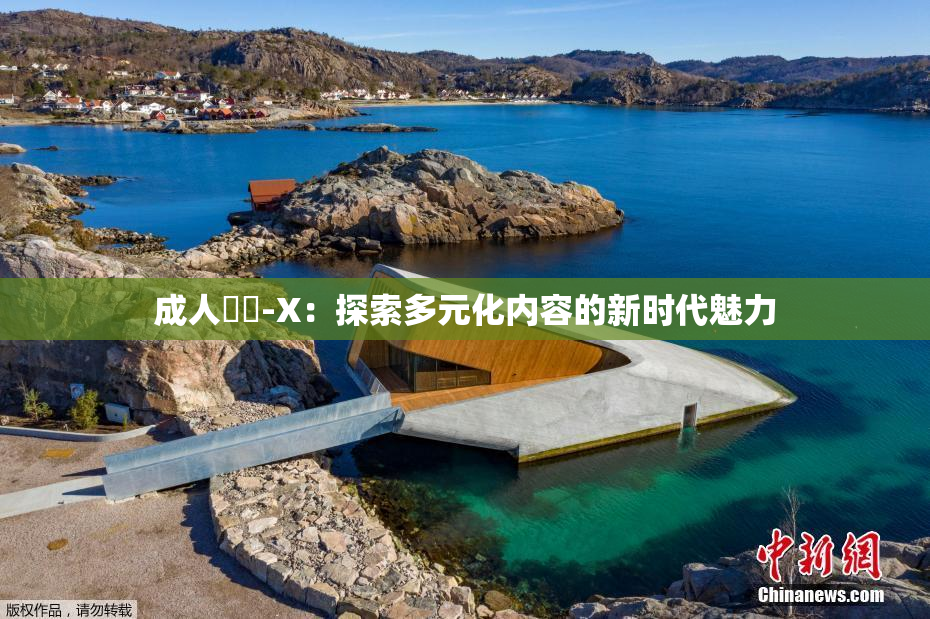 成人視頻-X：探索多元化内容的新时代魅力