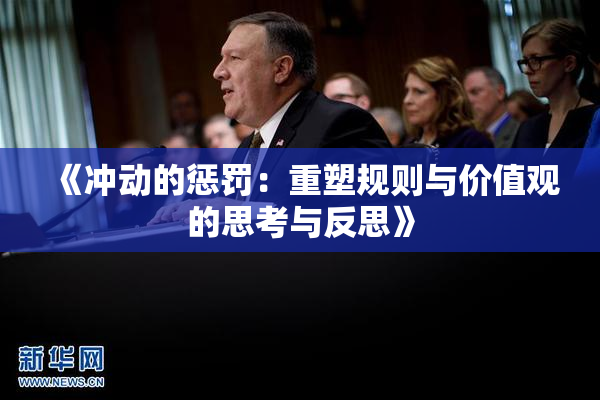《冲动的惩罚：重塑规则与价值观的思考与反思》