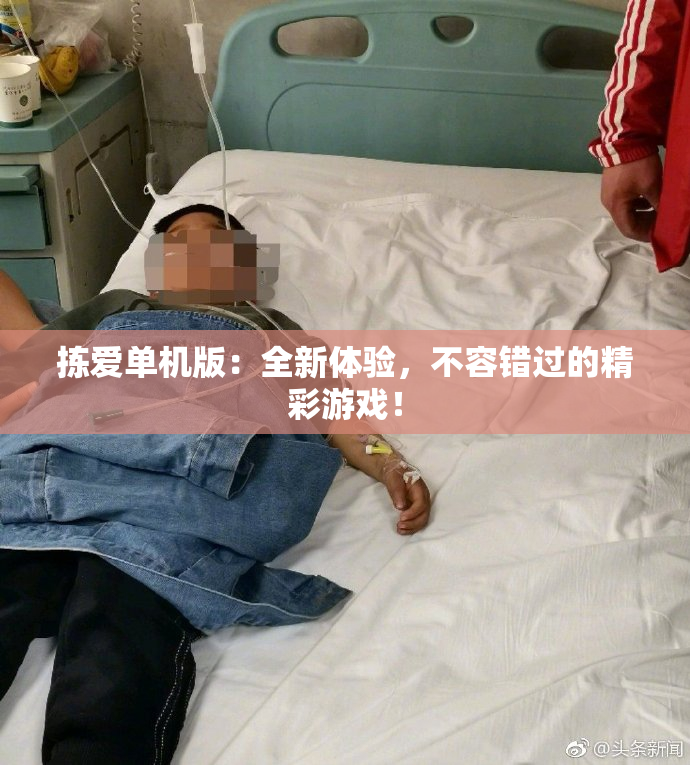 拣爱单机版：全新体验，不容错过的精彩游戏！