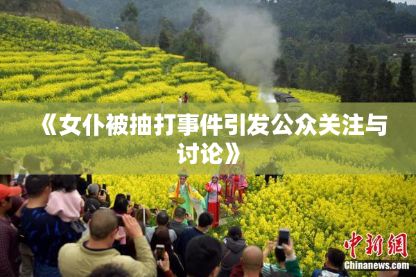 《女仆被抽打事件引发公众关注与讨论》