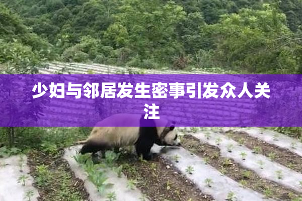 少妇与邻居发生密事引发众人关注