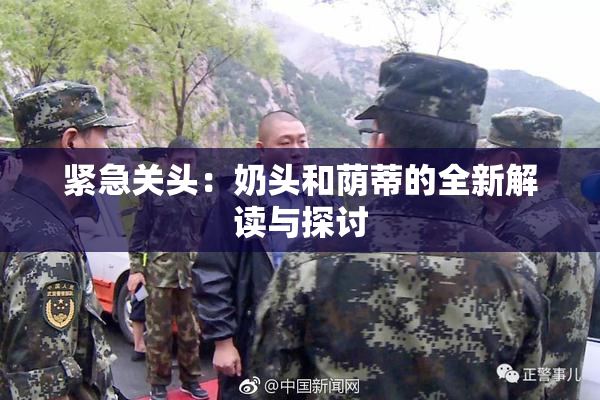 紧急关头：奶头和荫蒂的全新解读与探讨