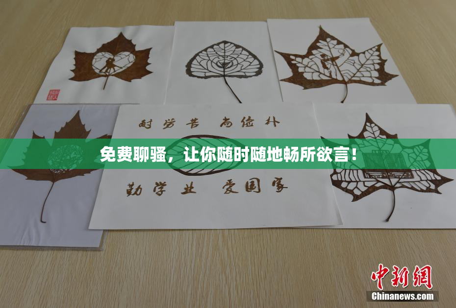 免费聊骚，让你随时随地畅所欲言！