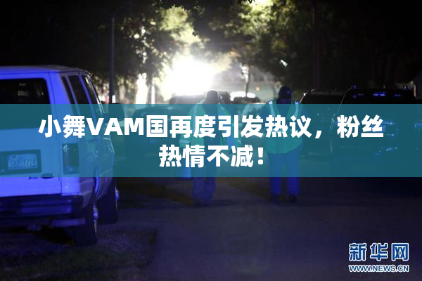 小舞VAM国再度引发热议，粉丝热情不减！