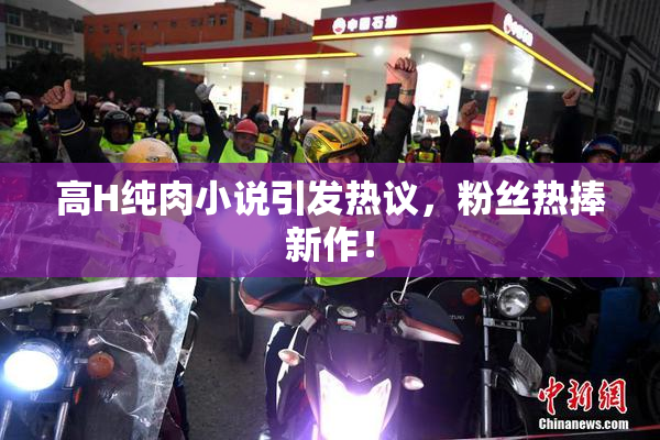 高H纯肉小说引发热议，粉丝热捧新作！