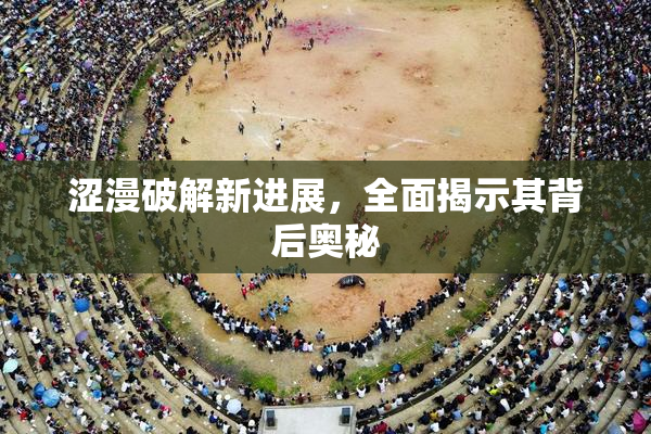 涩漫破解新进展，全面揭示其背后奥秘