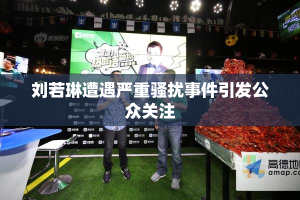 刘若琳遭遇严重骚扰事件引发公众关注