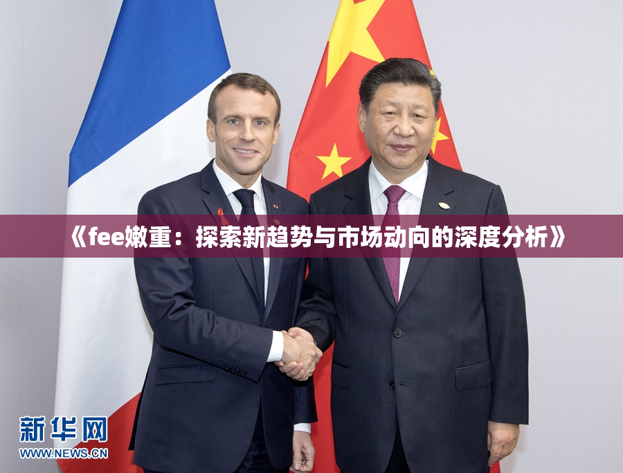《fee嫩重：探索新趋势与市场动向的深度分析》