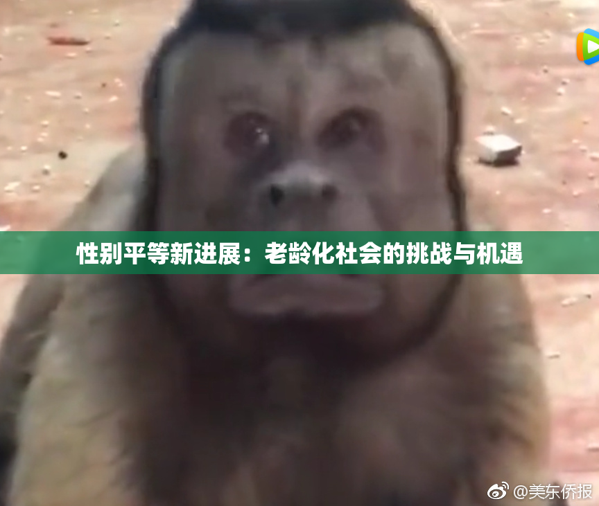 性别平等新进展：老龄化社会的挑战与机遇