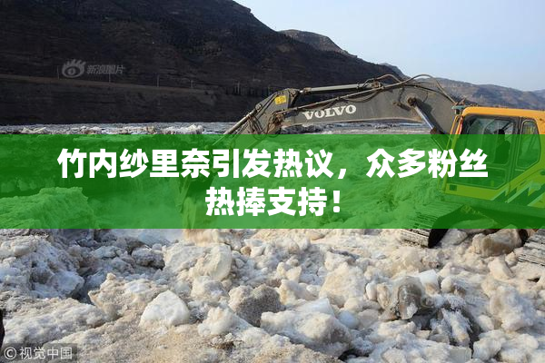 竹内纱里奈引发热议，众多粉丝热捧支持！
