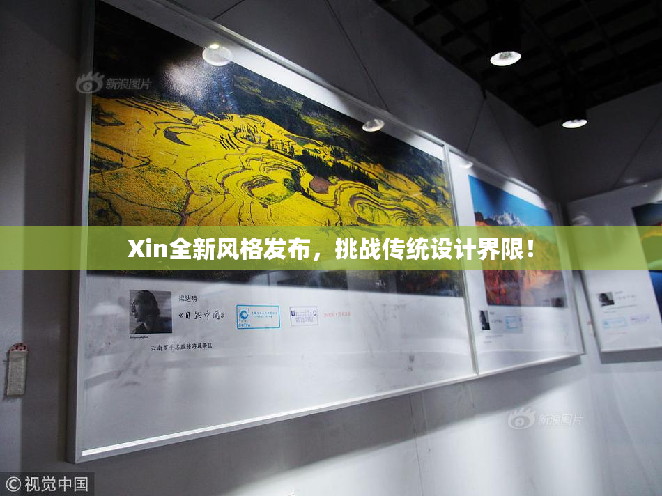 Xin全新风格发布，挑战传统设计界限！