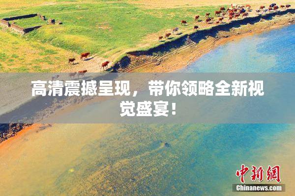 高清震撼呈现，带你领略全新视觉盛宴！