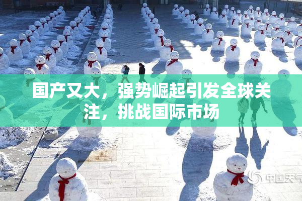 国产又大，强势崛起引发全球关注，挑战国际市场
