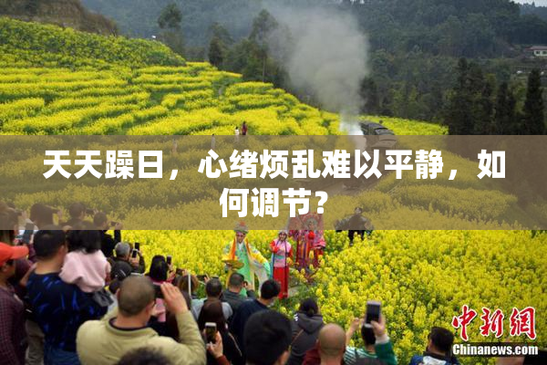 天天躁日，心绪烦乱难以平静，如何调节？