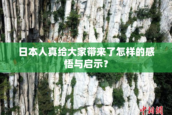 日本人真给大家带来了怎样的感悟与启示？