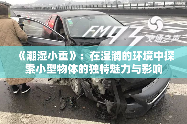 《潮湿小重》：在湿润的环境中探索小型物体的独特魅力与影响
