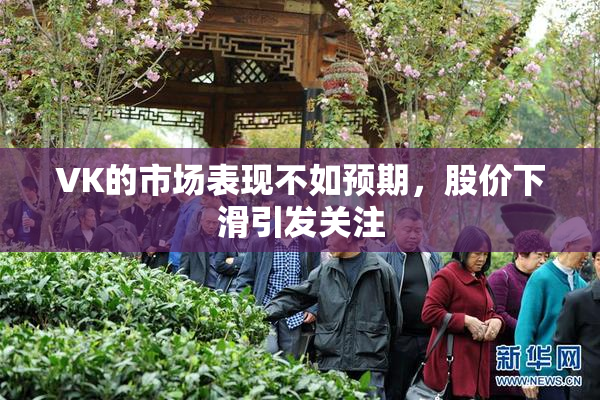 VK的市场表现不如预期，股价下滑引发关注