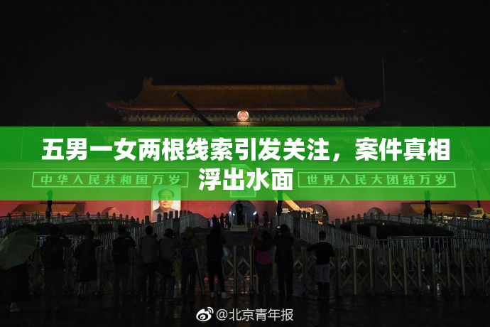 五男一女两根线索引发关注，案件真相浮出水面