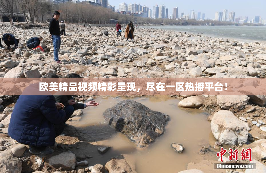 欧美精品视频精彩呈现，尽在一区热播平台！