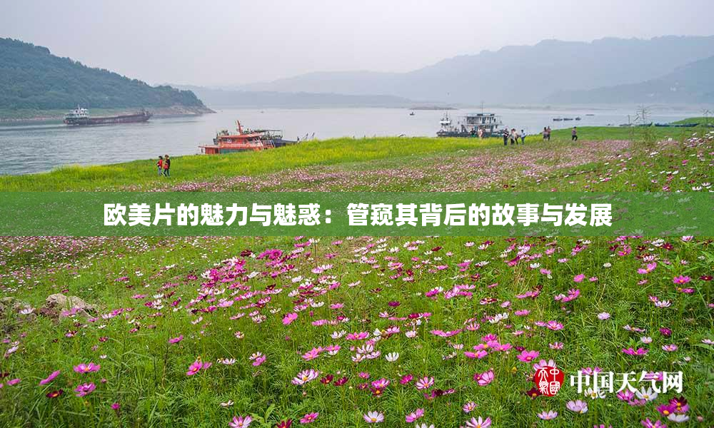 欧美片的魅力与魅惑：管窥其背后的故事与发展