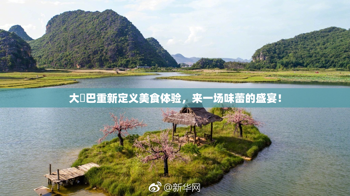 大鳮巴重新定义美食体验，来一场味蕾的盛宴！