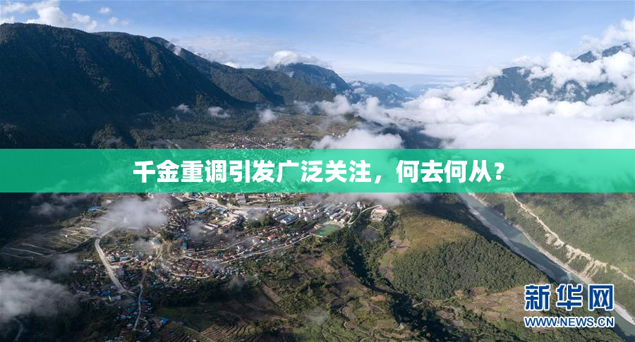 千金重调引发广泛关注，何去何从？