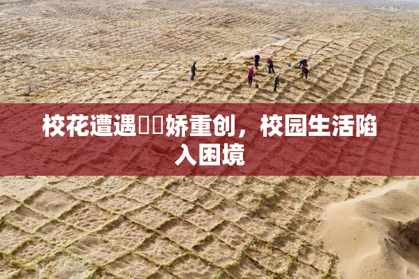 校花遭遇❌‌娇重创，校园生活陷入困境