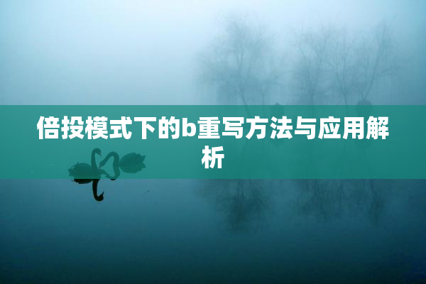 倍投模式下的b重写方法与应用解析