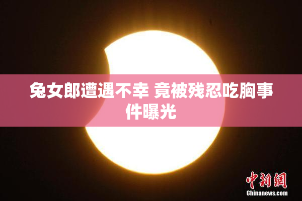 兔女郎遭遇不幸 竟被残忍吃胸事件曝光