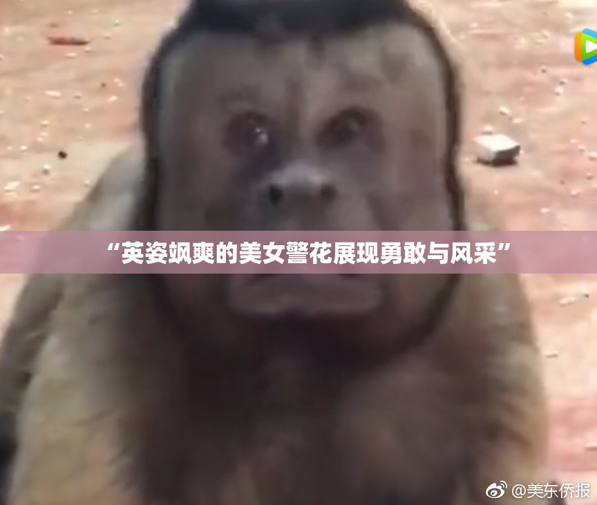 “英姿飒爽的美女警花展现勇敢与风采”