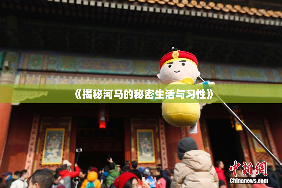 《揭秘河马的秘密生活与习性》