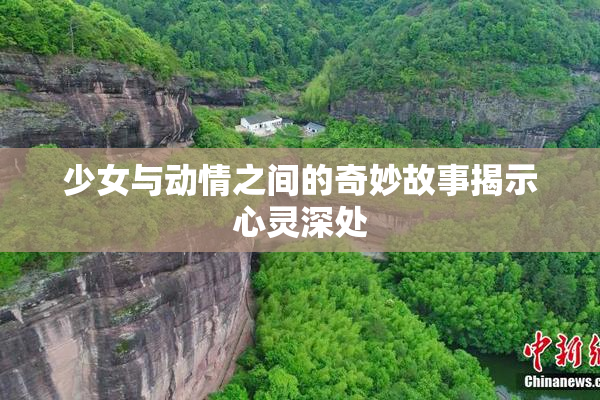 少女与动情之间的奇妙故事揭示心灵深处