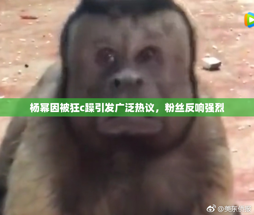 杨幂因被狂c躁引发广泛热议，粉丝反响强烈