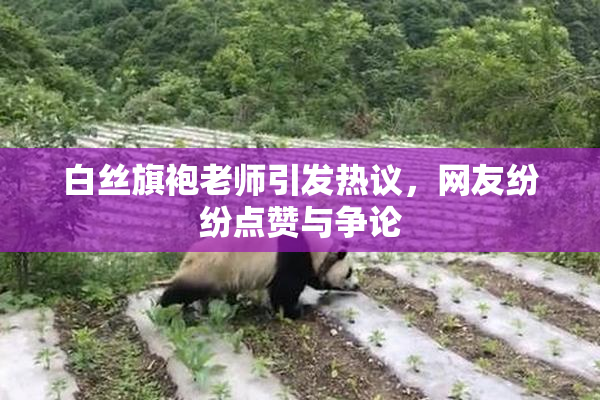 白丝旗袍老师引发热议，网友纷纷点赞与争论