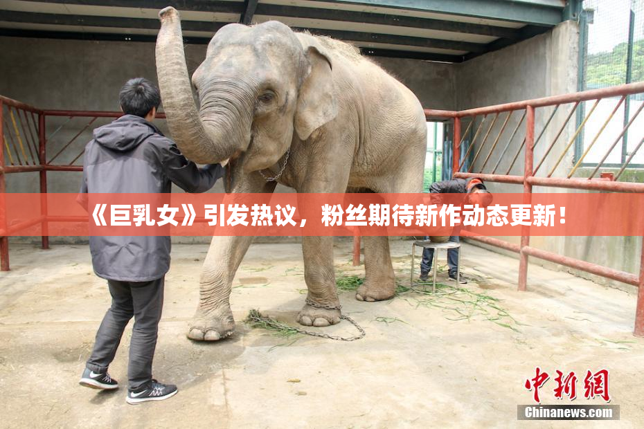 《巨乳女》引发热议，粉丝期待新作动态更新！