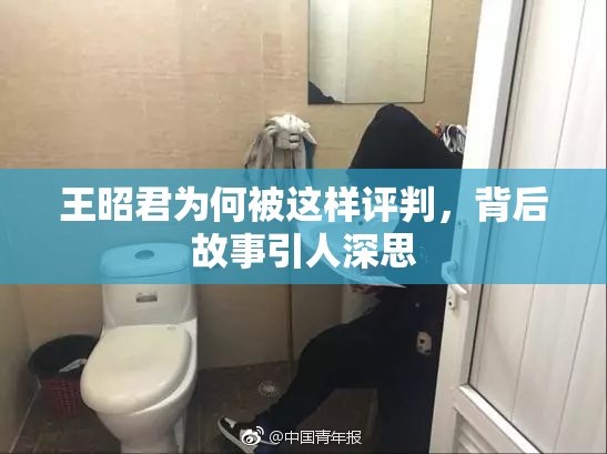 王昭君为何被这样评判，背后故事引人深思