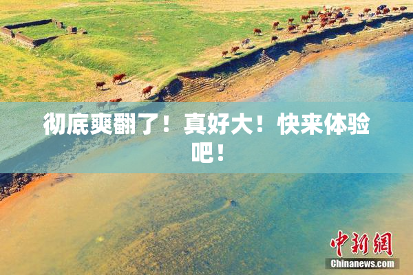 彻底爽翻了！真好大！快来体验吧！