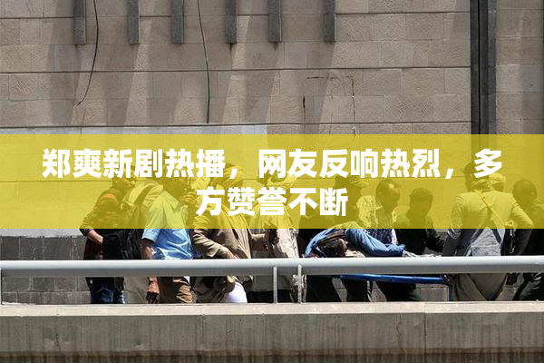 郑爽新剧热播，网友反响热烈，多方赞誉不断