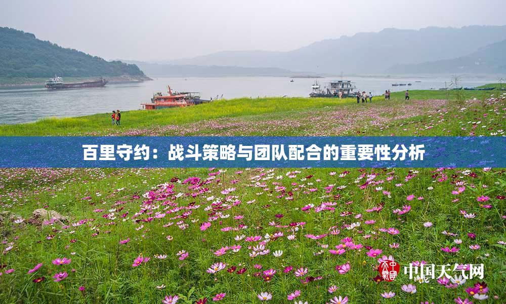 百里守约：战斗策略与团队配合的重要性分析
