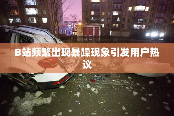 B站频繁出现暴躁现象引发用户热议