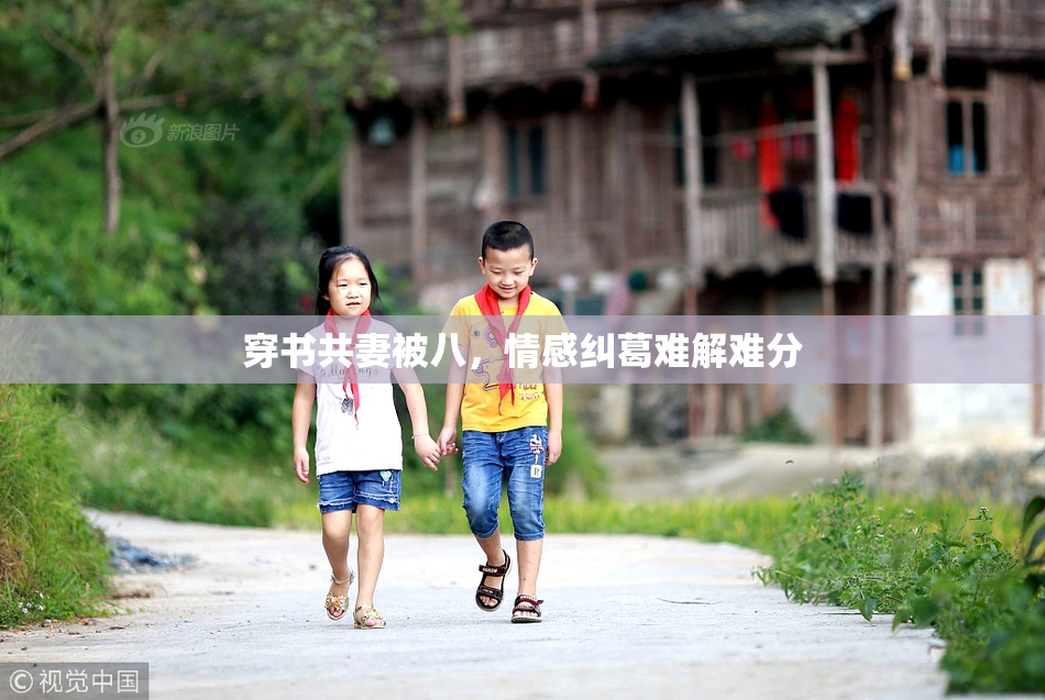 穿书共妻被八，情感纠葛难解难分