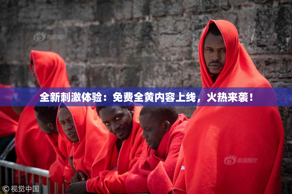 全新刺激体验：免费全黄内容上线，火热来袭！