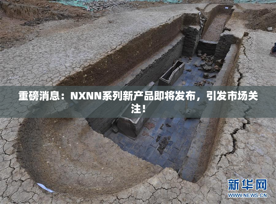 重磅消息：NXNN系列新产品即将发布，引发市场关注！