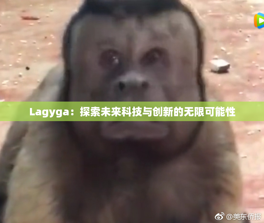 Lagyga：探索未来科技与创新的无限可能性